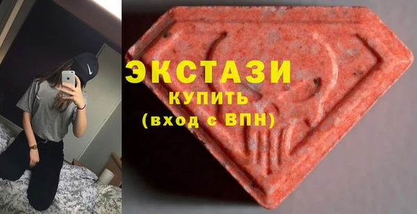 гидра Богородицк