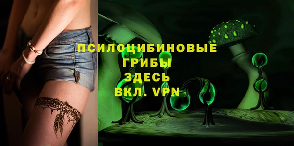 PSILOCYBIN Богданович