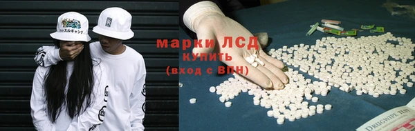 PSILOCYBIN Богданович