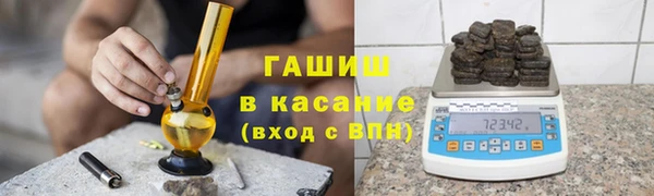 гидра Богородицк