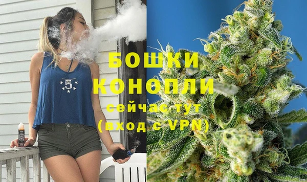 гидра Богородицк