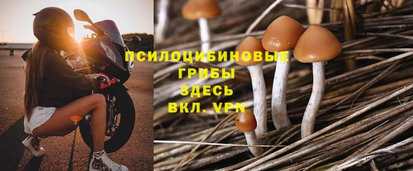 apvp Богородск