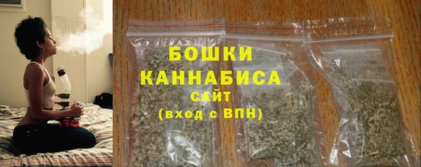 гидра Богородицк