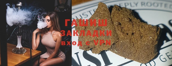 гидра Богородицк