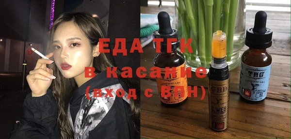 гидра Богородицк