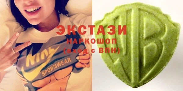 гидра Богородицк