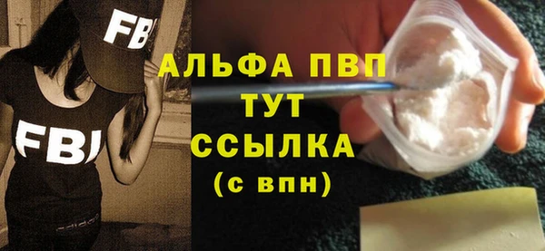 гидра Богородицк